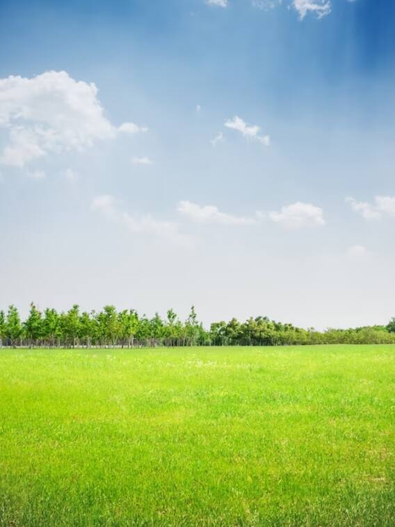 जानिए किस राज्य में है जमीन खरीदने की कितनी लिमिट?