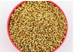 Coriander: ਸਵੇਰੇ ਖਾਲੀ ਪੇਟ ਧਨੀਆ ਖਾਣ ਨਾਲ ਸਿਹਤ ਨੂੰ ਹੋਣਗੇ ਇਹ ਫਾਇਦੇ, ਜਾਣੋ