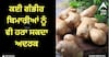 Ginger Benefits: ਅਦਰਕ ਸਿਰਫ ਜ਼ੁਕਾਮ ਅਤੇ ਖਾਂਸੀ ਤੱਕ ਹੀ ਸੀਮਿਤ ਨਹੀਂ, ਇਹ ਕਈ ਗੰਭੀਰ ਬਿਮਾਰੀਆਂ ਨੂੰ ਵੀ ਹਰਾ ਸਕਦਾ, ਜਾਣੋ ਇਸਦੇ ਫਾਇਦੇ