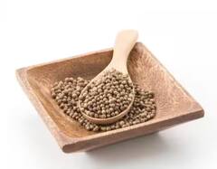 Coriander: ਸਵੇਰੇ ਖਾਲੀ ਪੇਟ ਧਨੀਆ ਖਾਣ ਨਾਲ ਸਿਹਤ ਨੂੰ ਹੋਣਗੇ ਇਹ ਫਾਇਦੇ, ਜਾਣੋ