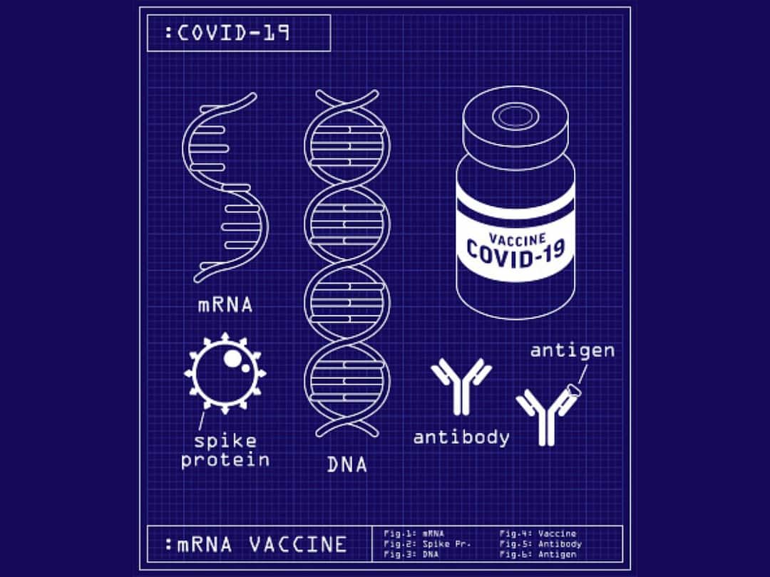 Nobel Prize In Physiology or Medicine 2023 Katalin Karikó Drew Weissman Work Led To The Development Of mRNA Covid 19 Vaccines ABPP Medicine Nobel 2023: How Katalin Karikó And Drew Weissman’s Work Led To The Development Of mRNA Covid-19 Vaccines