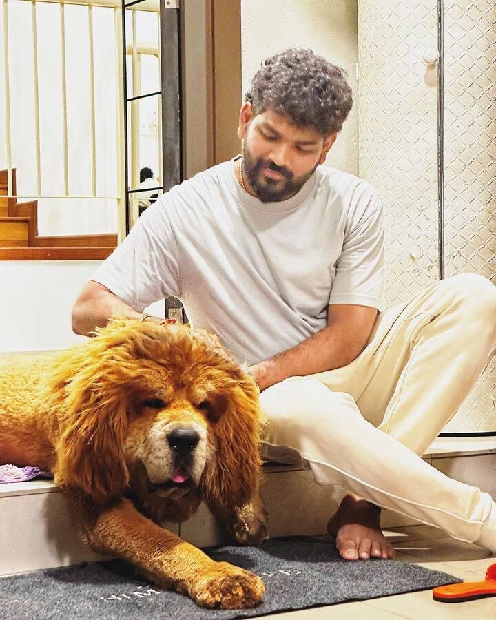 வழக்கமாக, குழந்தைகளுடனும், பெற்றோர்களுடனும், நண்பர்களுடனும் போட்டோ பதிவிட்டு வந்த நயன், முதல் முறையாக செல்ல பிராணியின் புகைப்படத்தை பதிவிட்டுள்ளார். விக்கி விளையாடி கொண்டிருக்கும் போது எடுக்கப்பட்ட புகைப்படம் கவனத்தை ஈர்த்துள்ளது.