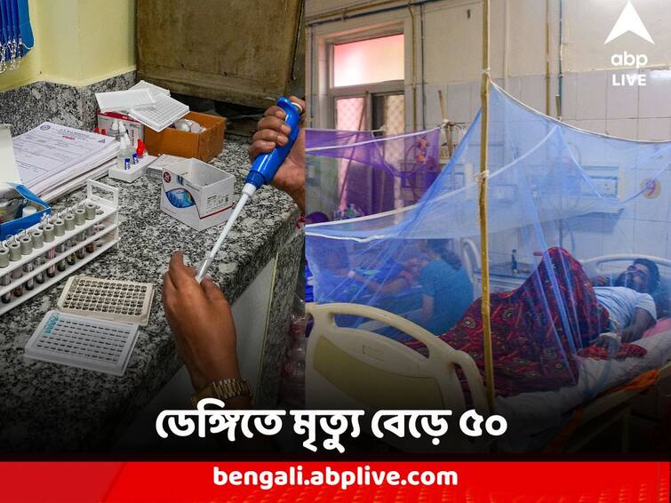 Dengue Death West Bengal Dengue Scare Continues as one more person died tally up to 50 people Dengue Death Update : প্রাণঘাতী ডেঙ্গির বলি আরও এক, রাজ্যে ডেঙ্গিতে আক্রান্ত হয়ে মৃত্যু বেড়ে ৫০ জনের