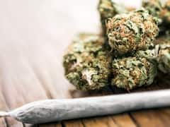 यूक्रेन युद्ध में घायल सैनिकों की मदद कर रहा गांजा? इस्तेमाल पर शुरू हुई बहस