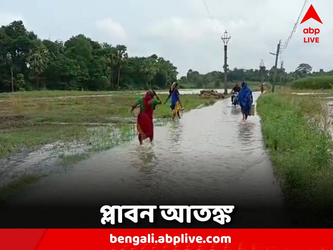Ghatal Flood movement of vehicles will be closed, there is a risk of crop damage Ghatal Flood: ফের প্লাবন আতঙ্ক ঘাটালে, বন্ধ গাড়ি চলাচল, ফসলের ক্ষতির আশঙ্কা