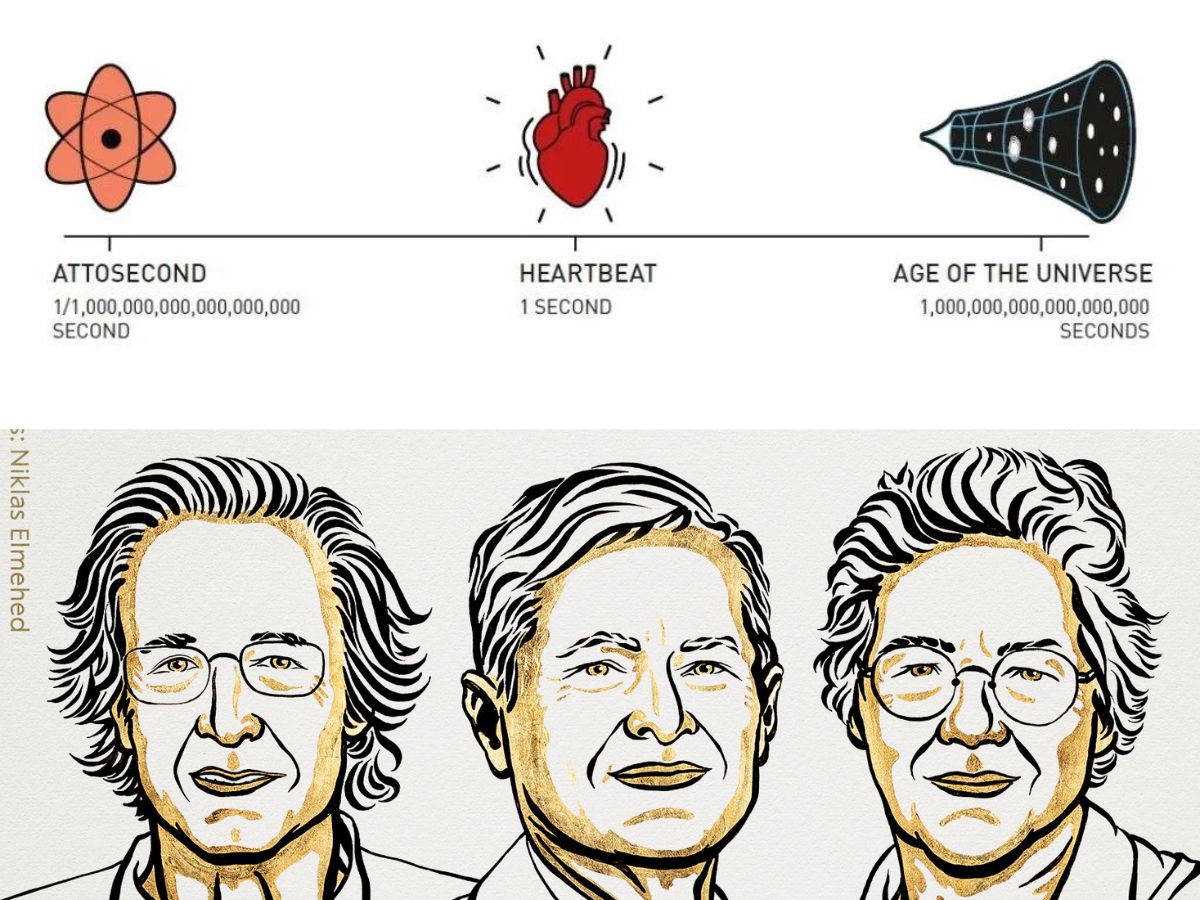 Hand Heart Pulse Continuous Line Drawing Graphic by tyasdrawing · Creative  Fabrica