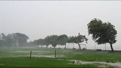 West Bengal Weather : আকাশ ঘিরে মেঘ, এই জেলাগুলিতে নামবে তুমুল বৃষ্টি, জমতে পারে জলও