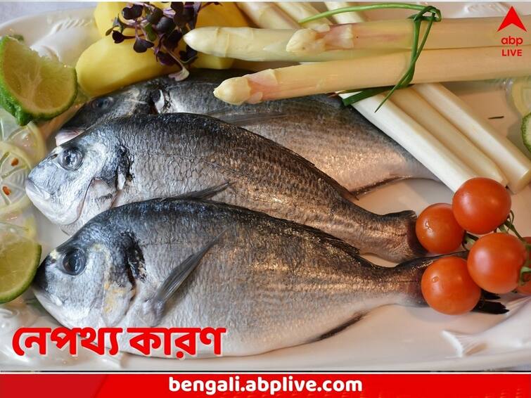 Do you know Why do fish smell here are few scientific reasons Smell of Fish: মাছের গায়ে আঁশটে গন্ধ কেন, রান্নার সময় কী কী মাথায় রাখবেন, জানুন বিশদ