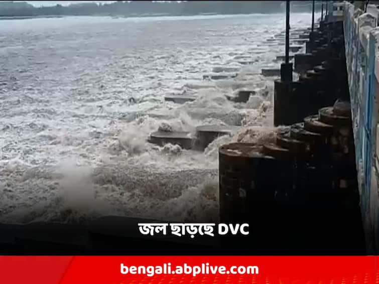 DVC began to release a large amount of water, there is a risk of flooding in Bengal in the face of puja! Durgapur: প্রচুর পরিমাণে জল ছাড়তে শুরু করেছে DVC, পুজোর মুখে বাংলায় বন্যার আশঙ্কা!
