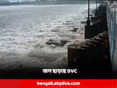 প্রচুর পরিমাণে জল ছাড়তে শুরু করেছে DVC, পুজোর মুখে বাংলায় বন্যার আশঙ্কা!
