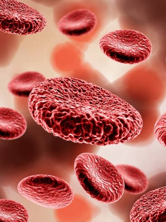 शरीर में खून की कमी के लिए करें ये उपाय,कभी नहीं होगी कमी