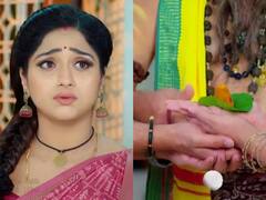 Trinayani October 3rd: పసుపు గౌరమ్మని పెట్టెలోంచి దొంగిలించిన తిలోత్తమ - అమృత ఘడియల కోసం నయని ఎదురుచూపులు!