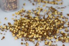 Health Tips : चणे आणि गुळ खाण्याचे फायदे! आजारांपासून सुटका मिळवण्याचा सोपा उपाय; अनेक आजारांपासून सुटका मिळवा