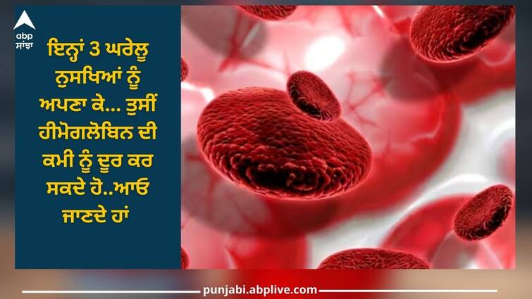 is a deficiency of hemoglobin or blood in the body then just try these 3 home remedies Deficiency of Hemoglobin: ਜੇਕਰ ਸਰੀਰ 'ਚ ਹੀਮੋਗਲੋਬਿਨ ਜਾਂ ਖੂਨ ਦੀ ਕਮੀ ਤਾਂ ਸਿਰਫ ਅਜ਼ਮਾਓ ਇਹ 3 ਘਰੇਲੂ ਨੁਸਖੇ, ਕਦੇ ਵੀ ਨਹੀਂ ਹੋਵੇਗੀ ਕਮੀ