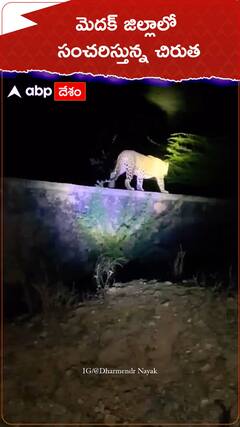 మెదక్ జిల్లాలో సంచరిస్తున్న చిరుత