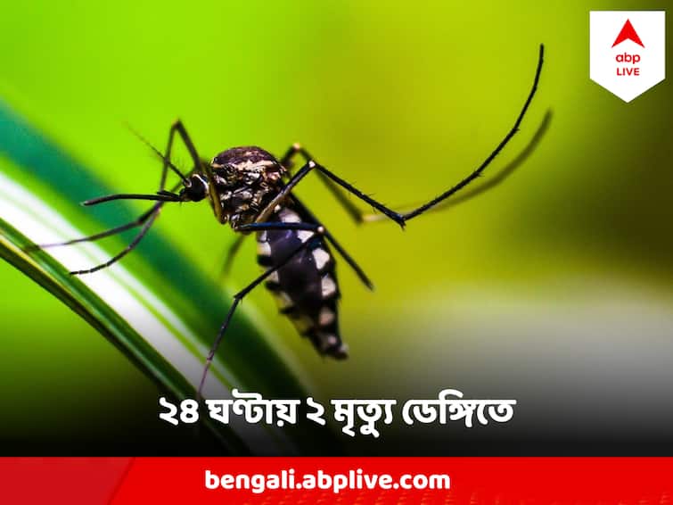 Dengue Spreading Fast, two Dengue Death In last 24 hour, 9 death in South dumdum municipal area Dengue Death : ২৪ ঘণ্টার মধ্যে ২ ডেঙ্গি আক্রান্তের মৃত্যু, শুধু দক্ষিণ দমদম পুরসভা এলাকায় এই নিয়ে মৃত ৯
