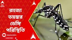 Dengue Situation: পুজোর আগে রাজ্য়ে ভয়ঙ্কর ডেঙ্গি পরিস্থিতি | ABP Ananda LIVE
