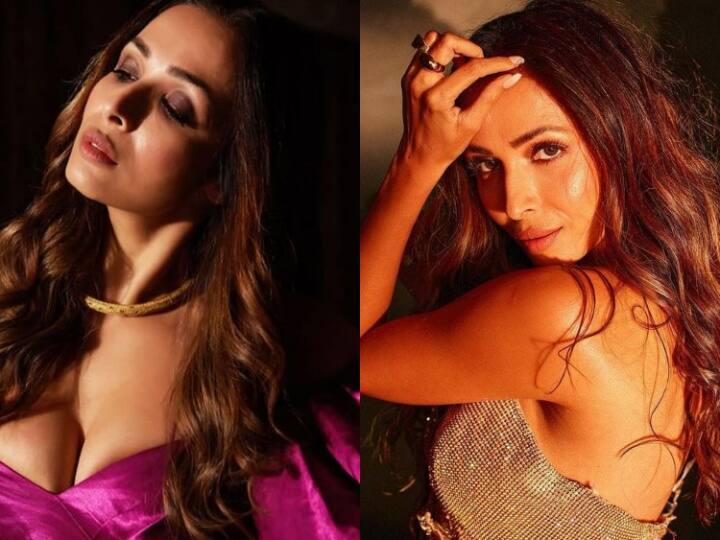 Malaika Arora Life Story: एक्ट्रेस मलाइका अरोड़ा अक्सर अपनी फिटनेस और फैशन को लेकर सुर्खियां बटोरती हैं. लेकिन आज हम आपको उनकी जिंदगी का वो पहलू बताने जा रहे हैं. जो काफी दर्द से भरा हुआ है.