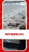 DVC: জল ছাড়ছে DVC, দামোদরের নিম্ন অববাহিকা প্লাবিত হওয়ার আশঙ্কা