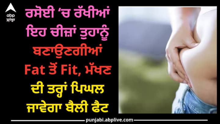 Belly Fat: ਮੋਟਾਪਾ ਘੱਟ ਕਰਨ ਲਈ ਲੋਕ ਬਹੁਤ ਪਸੀਨਾ ਵਹਾਉਂਦੇ ਹਨ ਪਰ ਸਾਡੀ ਰਸੋਈ 'ਚ ਕੁਝ ਅਜਿਹੀਆਂ ਚੀਜ਼ਾਂ ਹਨ ਜਿਨ੍ਹਾਂ ਦੀ ਜੇਕਰ ਨਿਯਮਿਤ ਵਰਤੋਂ ਕੀਤੀ ਜਾਵੇ ਤਾਂ ਮੋਟਾਪਾ ਤੇਜ਼ੀ ਨਾਲ ਘੱਟ ਕੀਤਾ ਜਾ ਸਕਦਾ ਹੈ।