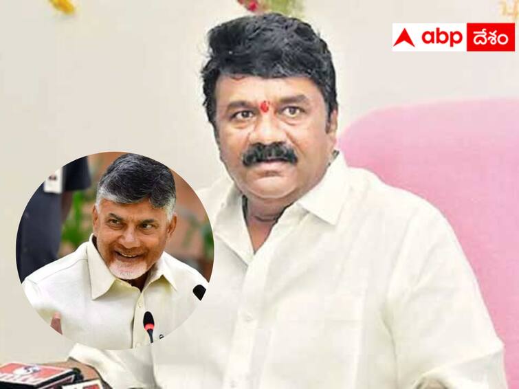 Minister Talasani Srinivas Yadav said Chandrababu's arrest is painful. Talasani Srinivas :  చంద్రబాబు అరెస్టు బాధాకరం - వైసీపీవి కక్ష సాధింపులు -  మంత్రి తలసాని కీలక వ్యాఖ్యలు