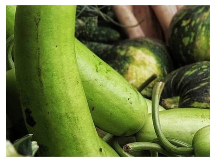 अकसर लोग व्रत में भुने आलू या आलू का खीर खाना पसंद करते हैं. लेकिन ये बहुत भारी और तला-भुना खाना सेहत के लिए ठीक नहीं है. इसलिए नवरात्रि में हल्के और पौष्टिक आहार जैसे लौकी का हलवा आप कम मीठा बना सकती है.