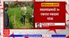 Yavatmal : यवतमाळमध्ये 20 एकरात पकडला गांजा , यवतमाळ पोलिसांची मोठी कारवाई