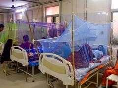 मुंबई में तेजी से बढ़ रहे डेंगू के मामले, जानें पिछले महीने की तुलना में सितंबर में कितने केस मिले?