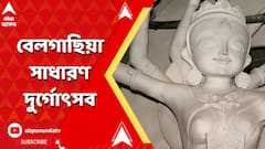 বেলগাছিয়া সাধারণ দুর্গোৎসবের এবার ৭৬ তম বছর, ভাবনা মুখোমুখি