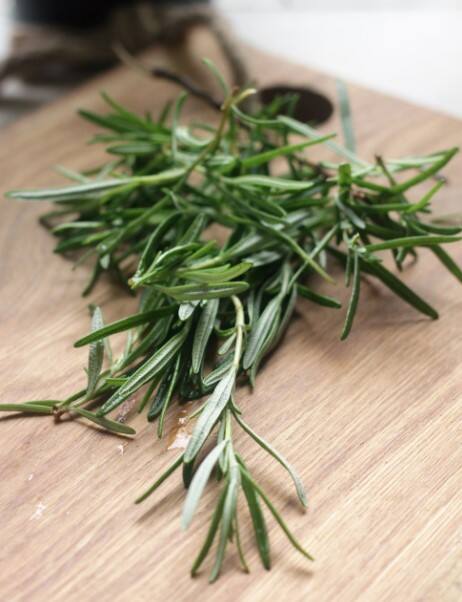 চুল পড়া থেকে বদহজম, বহু সমস্যার সমাধান রোজমেরিতেই