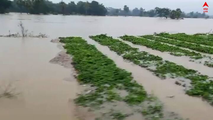 আবহাওয়া দফতরের তরফে জানানো হয়েছে, বৃহস্পতিবার পর্যন্ত গাঙ্গেয় পশ্চিমবঙ্গে ভারী বৃষ্টির সম্ভাবনা রয়েছে। শনিবার বদলাতে পারে আবহাওয়া।