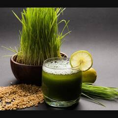 Wheat Grass Benefits : ਕਈ ਬਿਮਾਰੀਆਂ ਲਈ ਰਾਮਬਾਣ ਹੈ ਵ੍ਹੀਟ ਗ੍ਰਾਸ