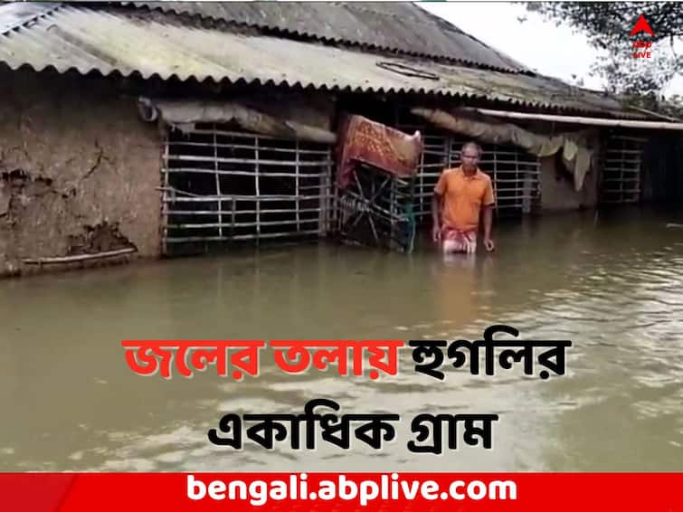 Hooghly Flood Situation: Several villages of Khanakul have gone under water due to water release during Heavy rain Hooghly News: হুগলির খানাকুলের একাধিক গ্রাম জলের তলায়, বিপদ সীমার উপরে দামোদর