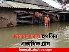 হুগলির খানাকুলের একাধিক গ্রাম জলের তলায়, বিপদ সীমার উপরে দামোদর
