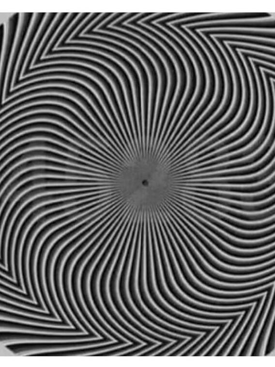 इस तस्वीर में छिपे हुए हैं कई नंबर, क्या 10 सेकंड में ढूंढ पाएंगे आप?