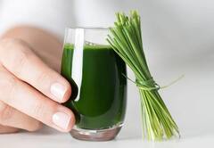 Wheat Grass Benefits : ਕਈ ਬਿਮਾਰੀਆਂ ਲਈ ਰਾਮਬਾਣ ਹੈ ਵ੍ਹੀਟ ਗ੍ਰਾਸ