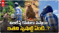 Ice Cream Vendor Whistles For Monkeys: తిరుపతిలో ఈయన విజిలేస్తే కోతులు పరిగెత్తుకొస్తాయి..!