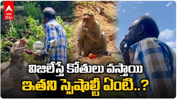 Ice Cream Vendor Whistles For Monkeys: తిరుపతిలో ఈయన విజిలేస్తే కోతులు పరిగెత్తుకొస్తాయి..!