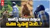 Ice Cream Vendor Whistles For Monkeys: తిరుపతిలో ఈయన విజిలేస్తే కోతులు పరిగెత్తుకొస్తాయి..!