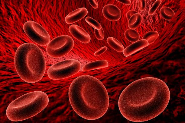 How to Increase Hemoglobin : तुम्हालाही हिमोग्लोबीनची कमतरता असेल तर, ती भरून काढण्यासाठी या तीन उपायांचा अवलंब करून पाहा.