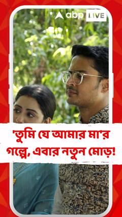 ভুল বোঝাবুঝি থেকে শুরু হবে নতুন সমস্যা? 'তুমি যে আমার মা'র গল্পে, এবার নতুন মোড়!