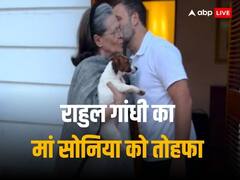 गांधी परिवार में नए मेहमान नूरी की एंट्री, राहुल गांधी ने सोनिया को दिया गिफ्ट, जानें कौन है ये