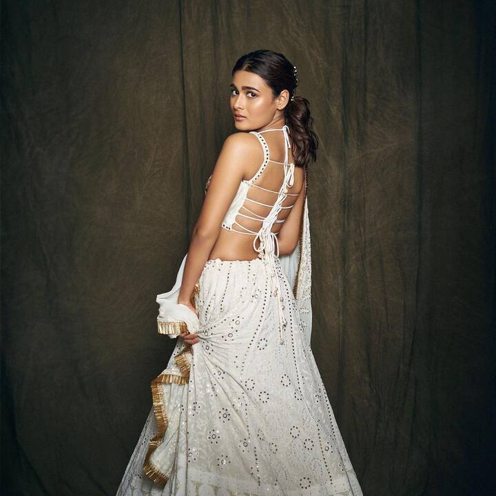షాలినీ పాండే (Image Credit: Shalini Pandey / Instagram)