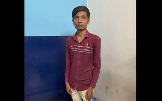 Crime: શિક્ષકની શરમજનક હરકત, આત્મહત્યાની ધમકી આપી વિદ્યાર્થિનીને શારીરિક અડપલાં કર્યા, ને પછી... Crime: શિક્ષકની શરમજનક હરકત, આત્મહત્યાની ધમકી આપી વિદ્યાર્થિનીને શારીરિક અડપલાં કર્યા, ને પછી...