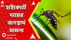 ডেঙ্গি মোকাবিলায় রাজ্য সরকার ব্যর্থ, এই অভিযোগে, হাইকোর্টে দায়ের হল জনস্বার্থ মামলা