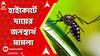 Dengue: ডেঙ্গি মোকাবিলায় রাজ্য সরকার ব্যর্থ, এই অভিযোগে, হাইকোর্টে দায়ের হল জনস্বার্থ মামলা