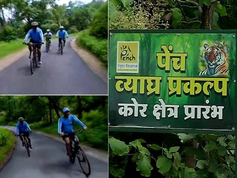 Nagpur Pench Tiger Project Special Cycle Safari for Tourists in Nagpur  Pench Tiger Project Nagpur Pench Tiger Project:  नागपूरच्या पेंच व्याघ्र प्रकल्पात पर्यटकांसाठी खास 'सायकल सफारी'