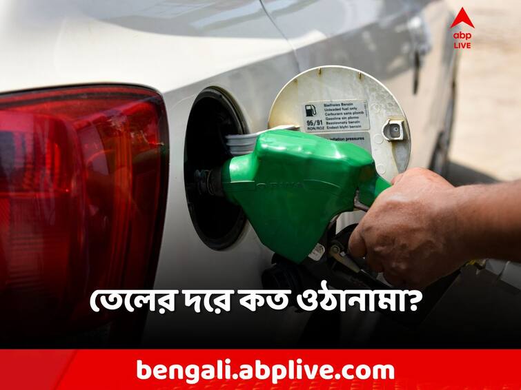 petrol Price Today diesel price update on 4 October fuel rate kolkata petrol diesel rate Petrol Diesel Rates: একই জায়গায় দাঁড়িয়ে পেট্রোল-ডিজেল দর! পুজোর মুখে বাড়বে না কি কমবে?