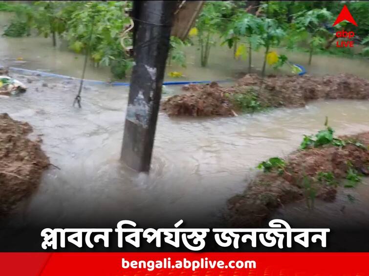 East Midnapore Flood Patashpur several villages flooded in this district East Midnapore Flood: জলের তলায় জনজীবন, প্লাবিত পূর্ব মেদিনীপুরে বেশ কয়েকটি গ্রাম