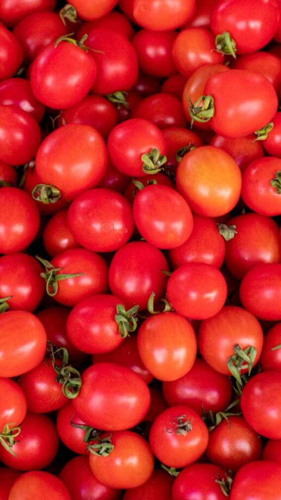 ডায়েটে থাকলে টমেটো জুস, সমাধান হাজারো সমস্যার